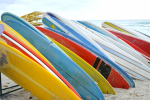 surfboards blank