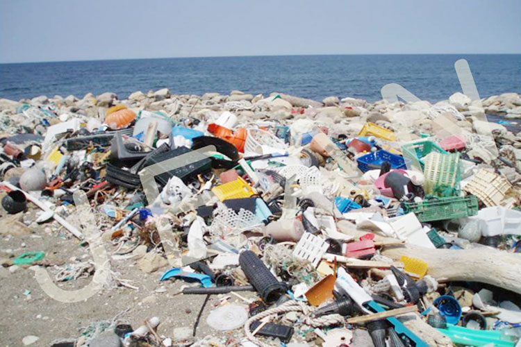 プラスチック 環境 問題