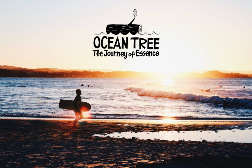 OCEANTREE第二弾